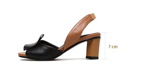 Chunky Heel Open Toe Women's Sandals with Ankle Strap