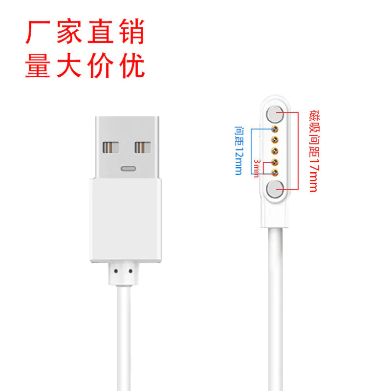 Universal Charging Cable for Smart Devices and Earphones